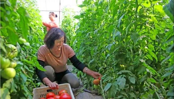 777水果机免费单机版下载：✅无需网络即可畅玩：777水果机单机免费版下载？