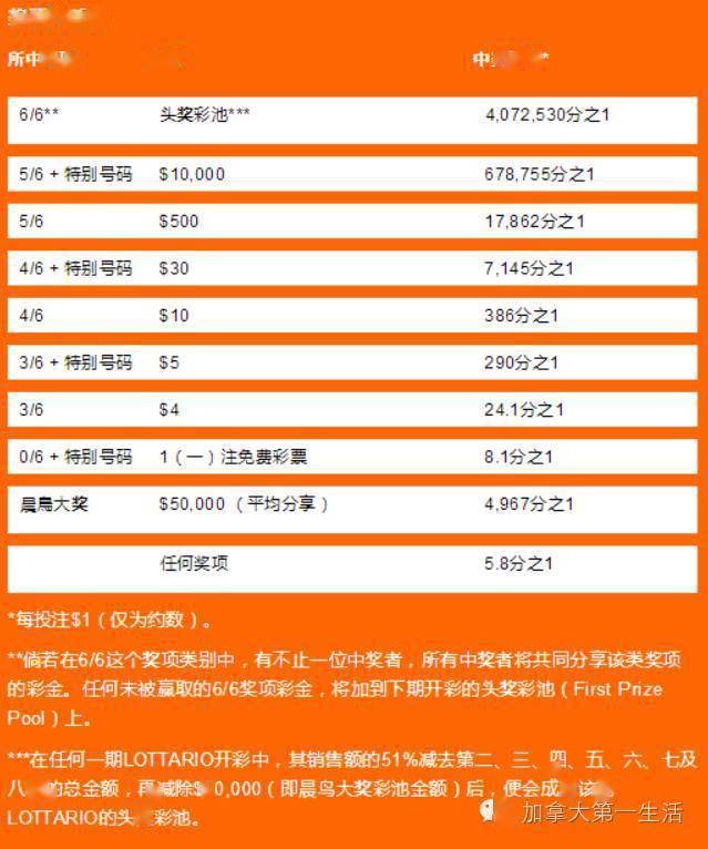 加拿大28单组计划，探索加拿大28单组玩法的新颖策略？